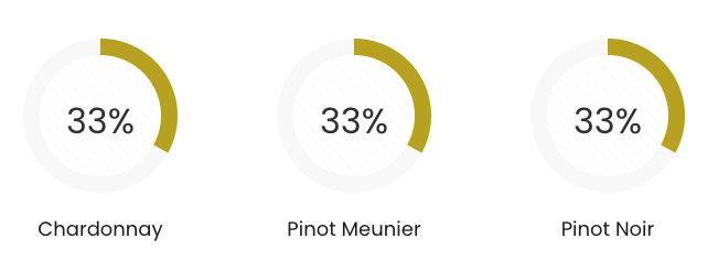 Druiven samenstelling pommery brut